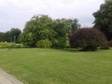 20190704_Park kralja Držislava_sl1~1.jpg